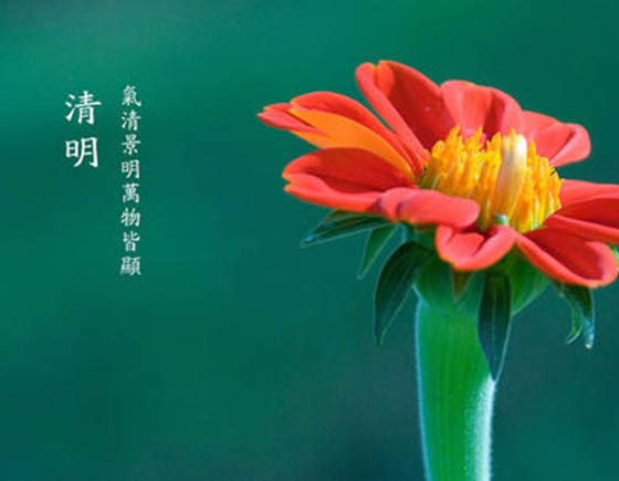 踏青好时节，清明节放假通知来啦